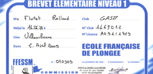 certificat_brevet_elementaire_niveau_1_plongee_-ffessm_roland_flutet certificat_brevet_elementaire_niveau_1_plongee_-ffessm_roland_flutet