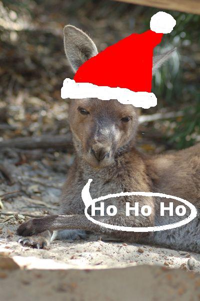 xmas-kanga xmas-kanga
